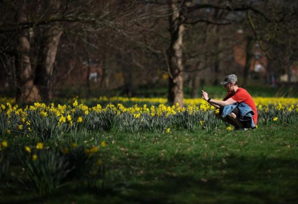 振兴资本 癌症“黑匣子”被新方法破解了！