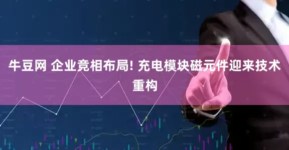 牛豆网 企业竞相布局! 充电模块磁元件迎来技术重构